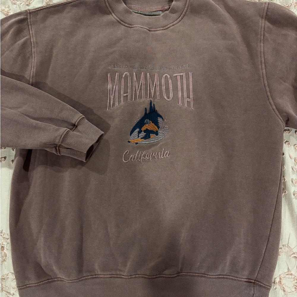 PacSun Mammoth Graphic Crewneck Sweater - Brown